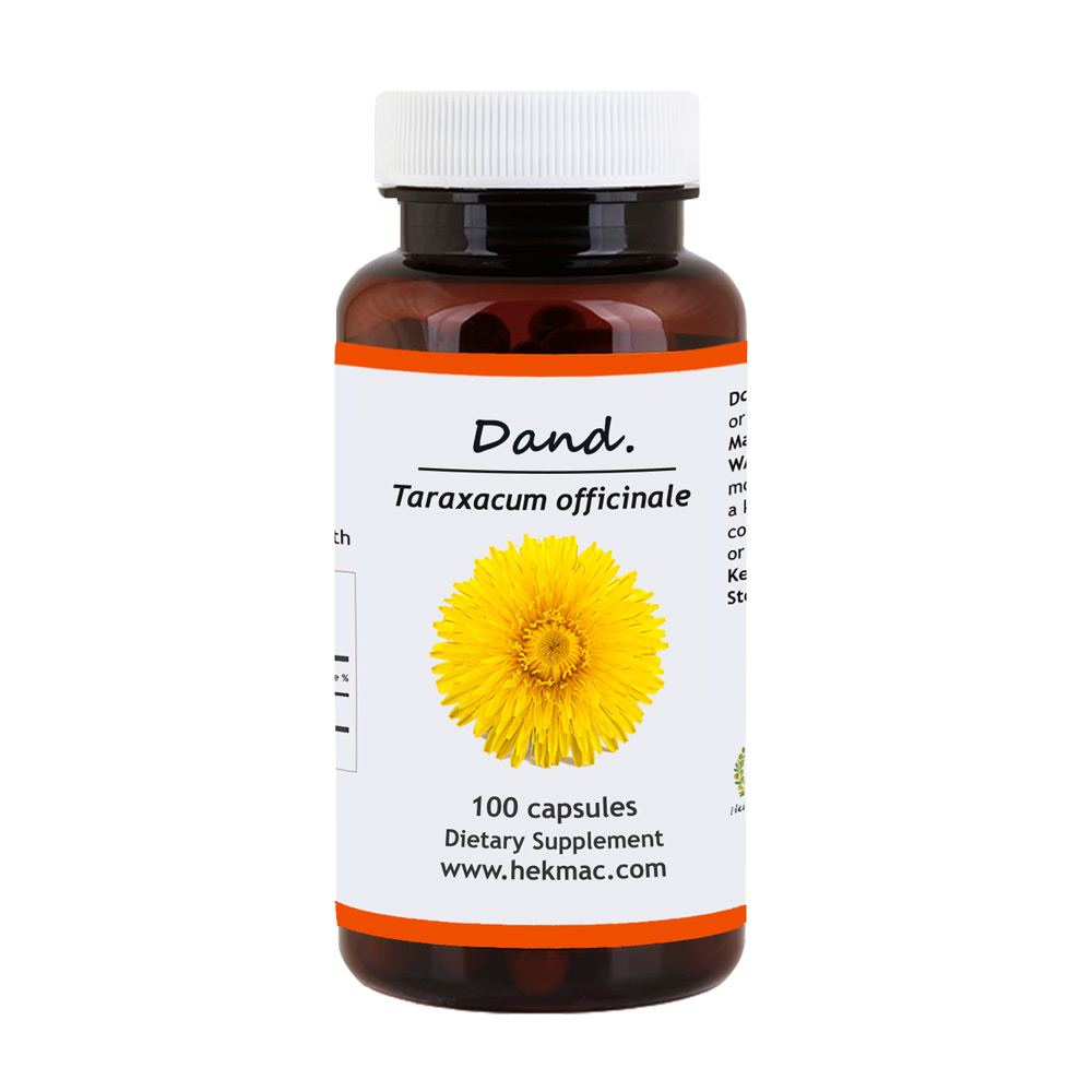 Dandelion - Taraxacum Officinalis
