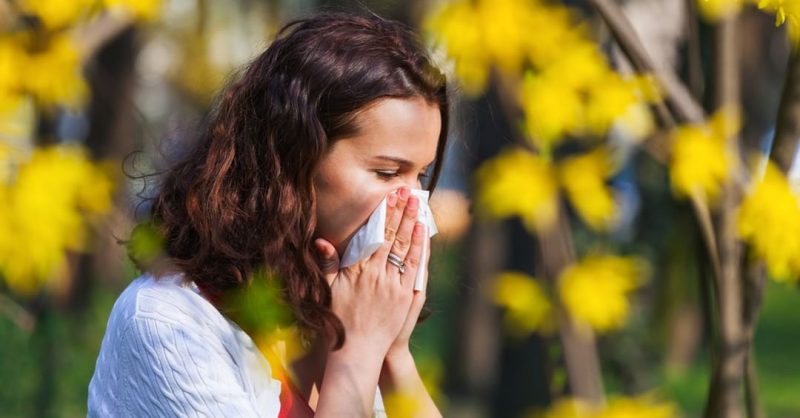 Recovered from Spring Allergy