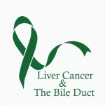 liver