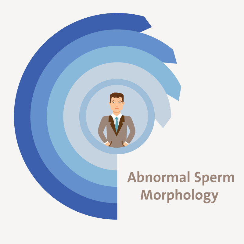 Treatment for Abnormal Sperm Morphology