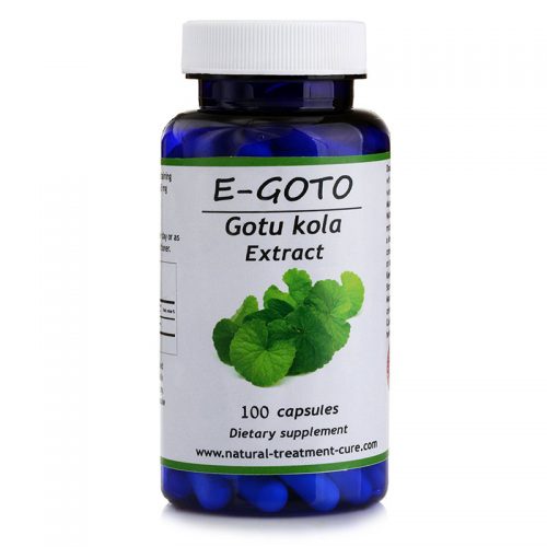 E-GOTO E-GOTO