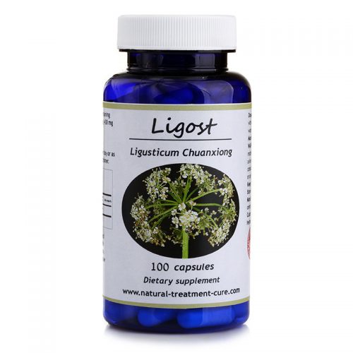 LIGOST LIGOST