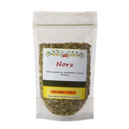 NORZ NORZ