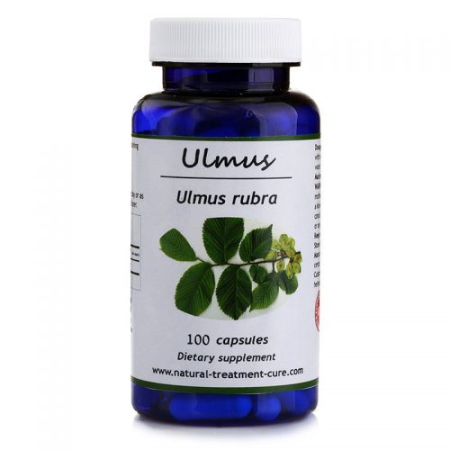 ULMUS ULMUS