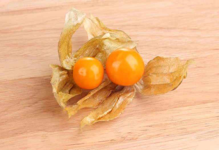 Ashwagandha for Hypothyroidism - Hekma Center