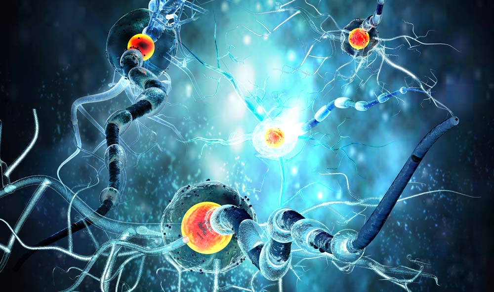 What Are the Causes of Multiple Sclerosis?