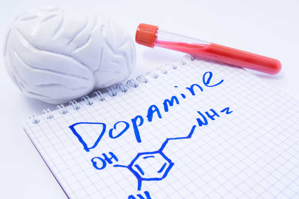 Dopamine Agonists Link with Parkinson’s Disease