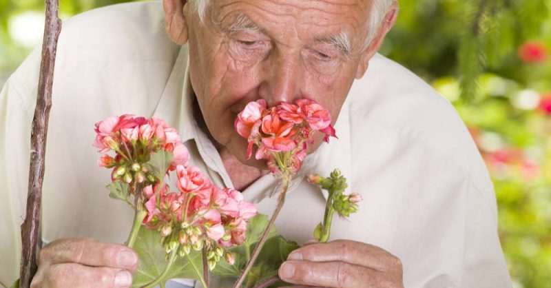 Sense of Smell and Parkinson’s