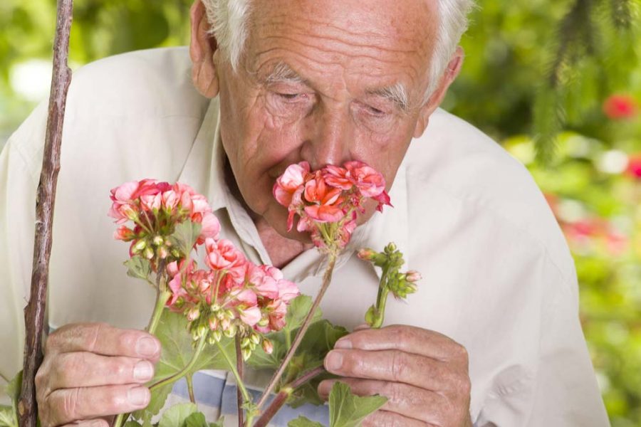 Sense of Smell and Parkinson’s