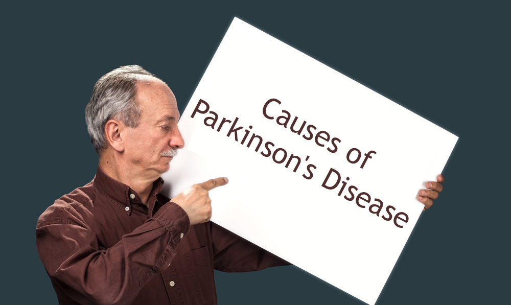 What Are the Causes of Parkinson’s Disease?