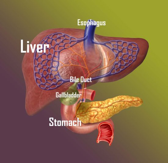 Liver Cancer – Gallbladder Cancer – Bile Duct Cancer - Hekma Center