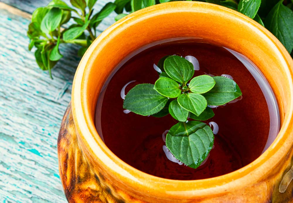 Marjoram Drink to Regulate Sugar Levels Hekma Center