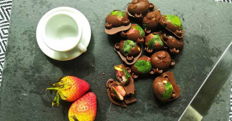 Hazelnut Chocolate Bites for Cancer