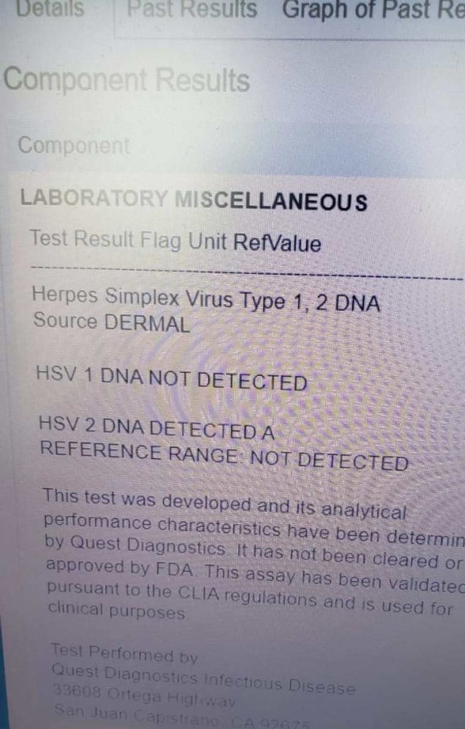  the Herpes Virus