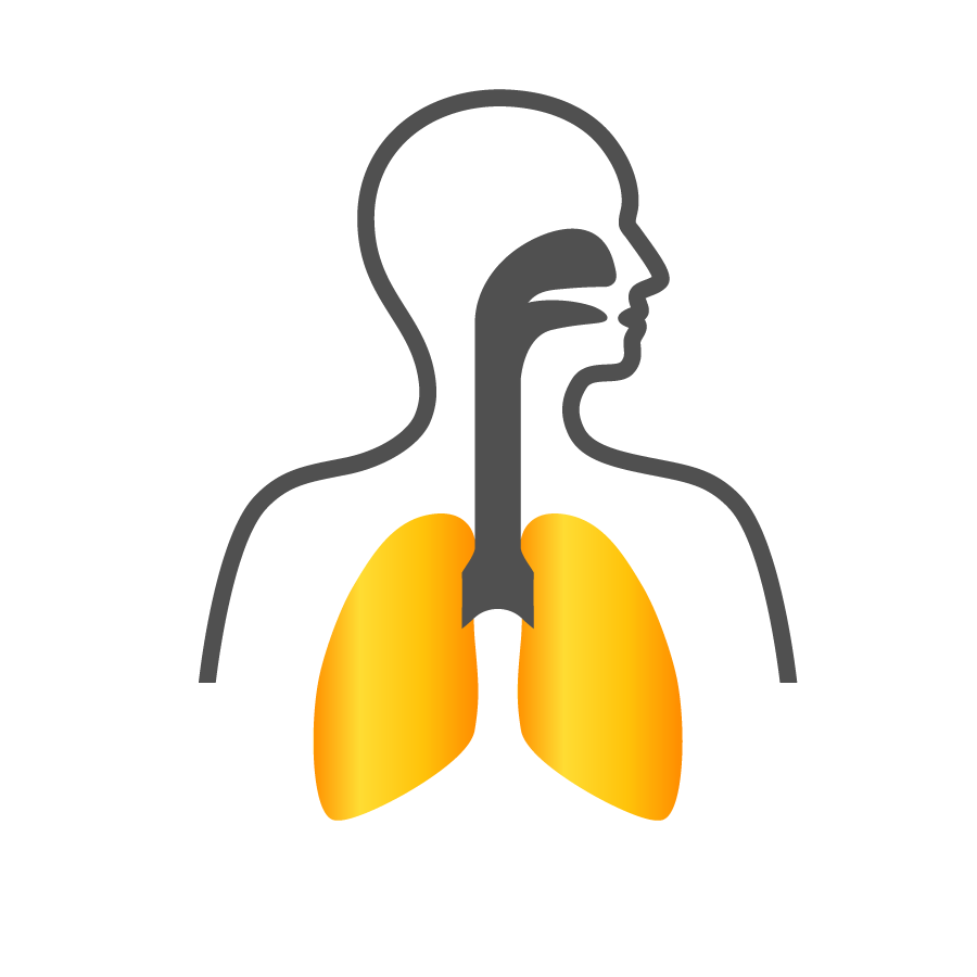 Respiratory Support Supplements