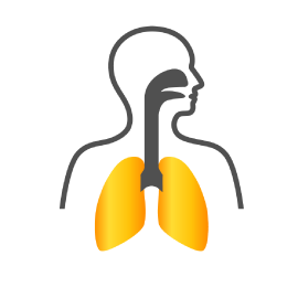 Respiratory Support Supplements